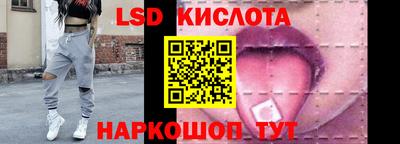 СК Дубна