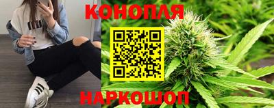 дмт Донской