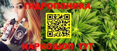 СК Дубна