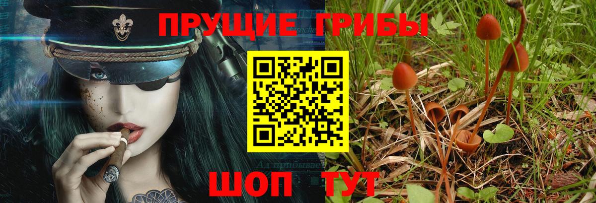 Краснокаменск  Галлюциногенные грибы MAGIC MUSHROOMS  Вход с VPN  Псилоцибиновые грибы мицелий 